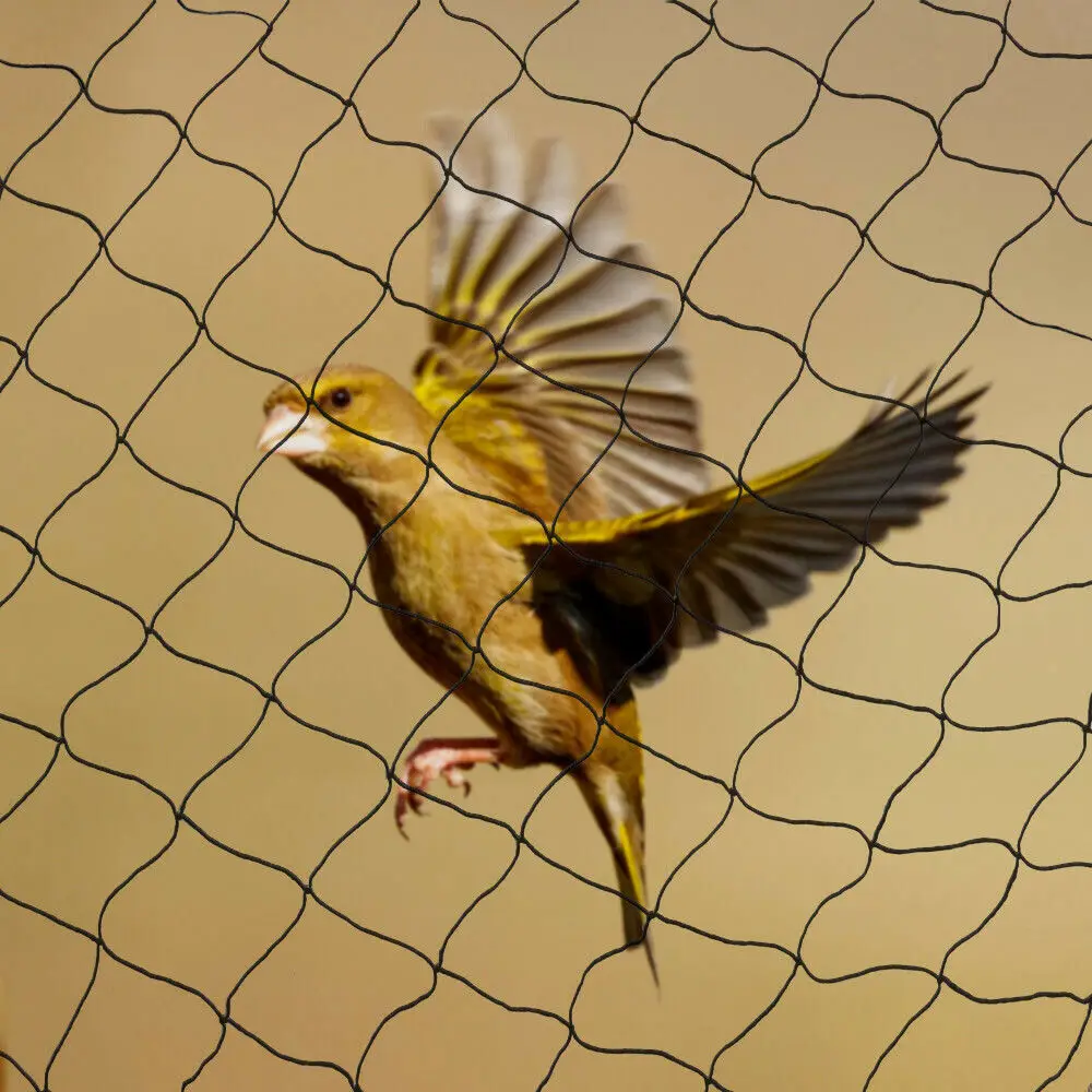 30 x 15 m Vogelnetz, strapazierfähiges Nylonnetz für den Garten, zum Schutz von Obstbäumen, Pflanzen und Gemüse, Vogelschutznetz – Detail 11