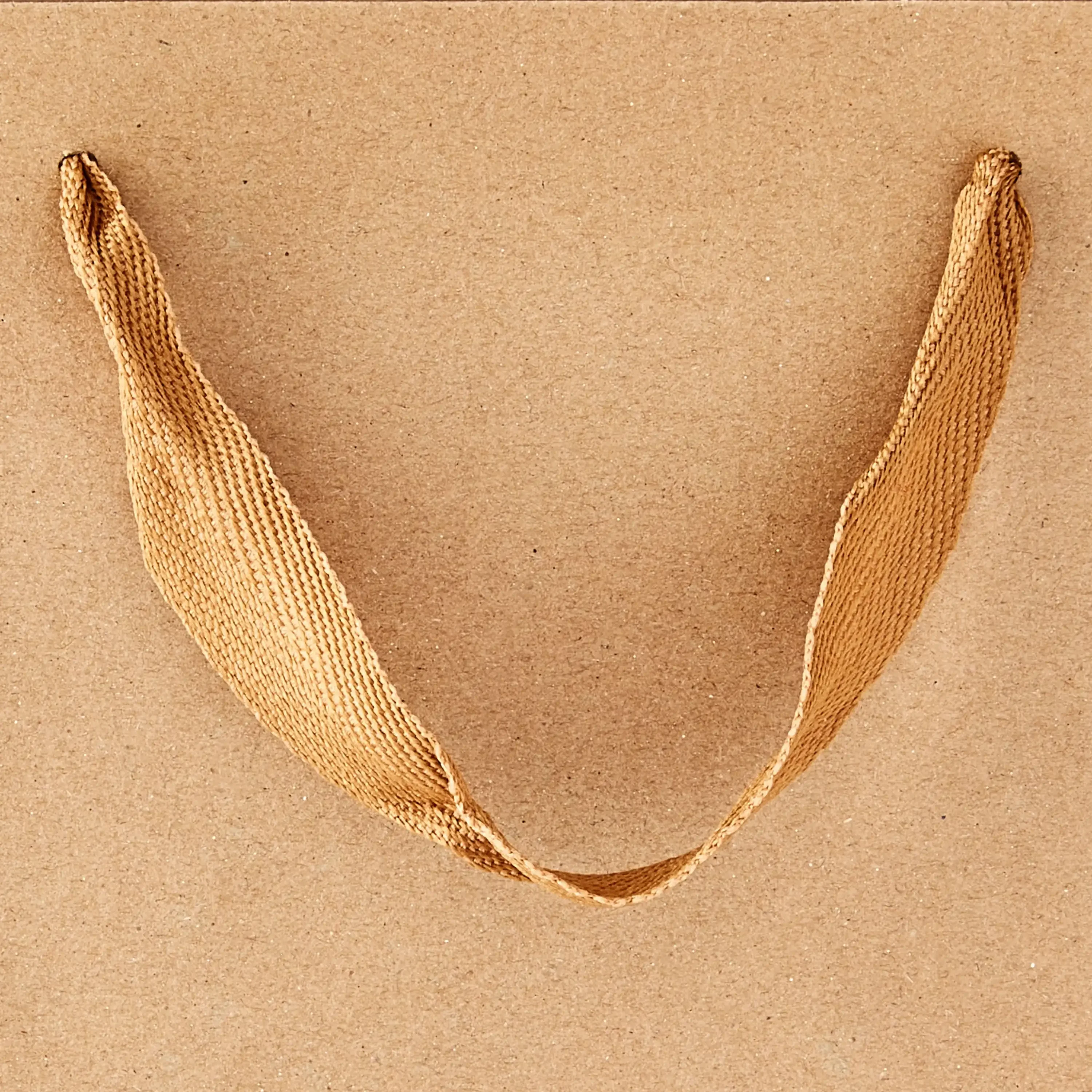 أكياس ورق كرافت كبيرة جدًا مع كتلة ألوان، 10 بوصة × 13 بوصة، عدد 10