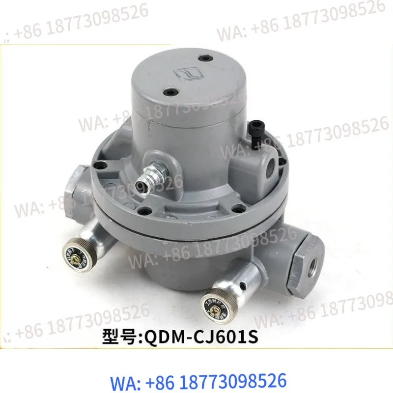 

CJ601S Pneumatic Unidirectional Diaphragm Pump Soft Packaging Roll Film Machine Air Pump