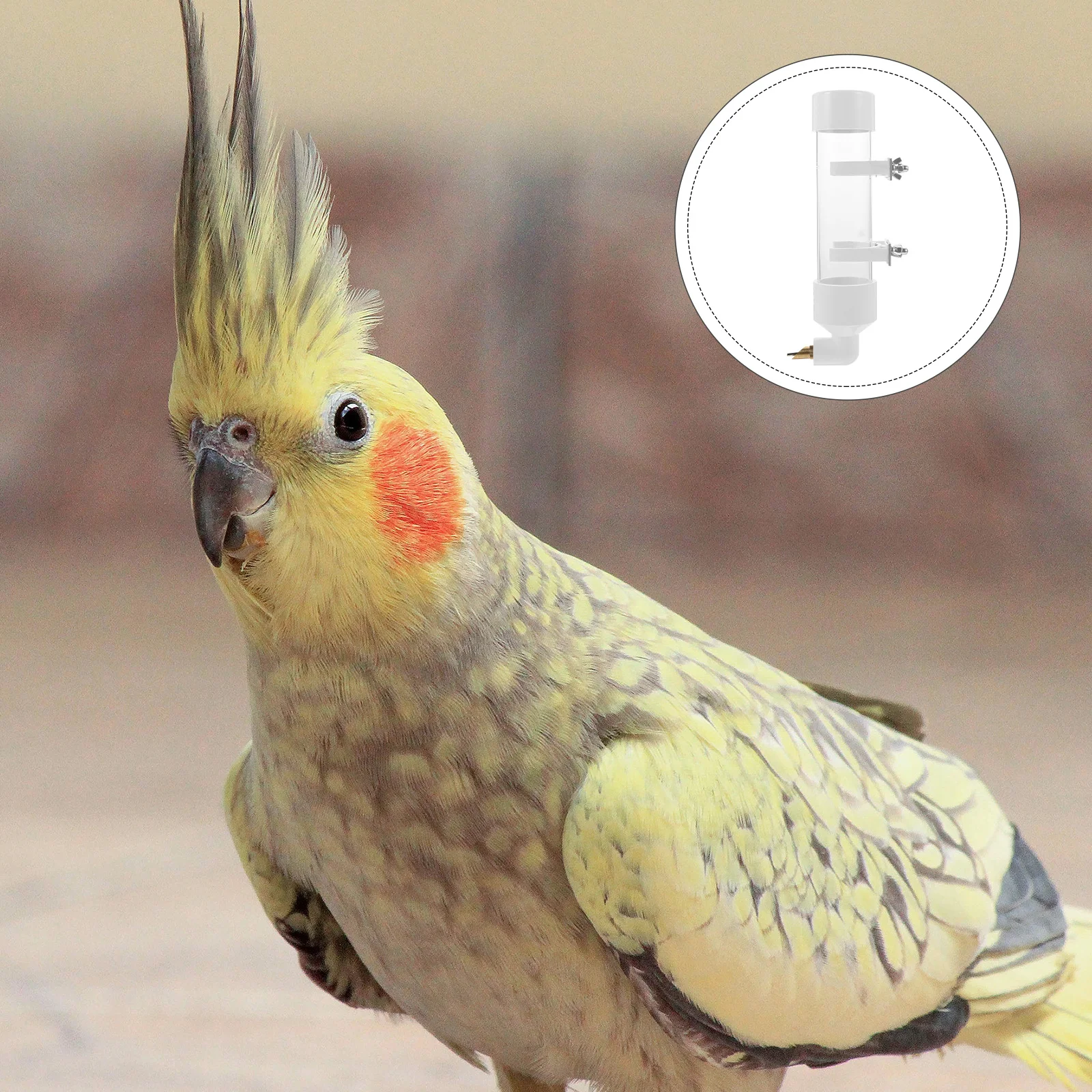 

1Pcs Automatic Bird Water Dispenser Durable Plastic Hanging Water Feeder for Bird Cage Parakeet Cage Accessories