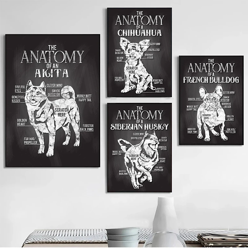 Anime Dog Siberian Husky French Bulldog Chihuahua Anatomy Poster Canvas Print Painting Wall Art Posters Picture Wall Decor Cuadr