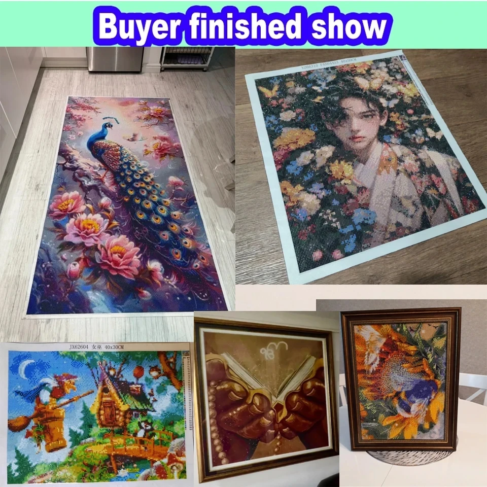 Lukisan Berlian 5D Burung Koli - Resin Art For Beginner ulasan dan harga