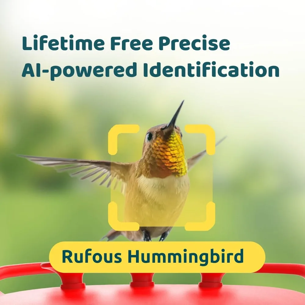 Birdfy®Mangiatoia per colibrì con fotocamera-doppia fotocamera intelligente 2K, birdwatching Close-Up, AI a vita identifica il colibrì