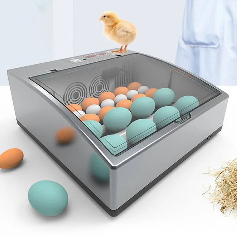 حاضنة بيض ذكية صغيرة للاستخدام المنزلي التلقائي بالكامل لبيض السمان والدجاج والبط والأوز مع كاندلر مزدوج القوة باللون الرمادي