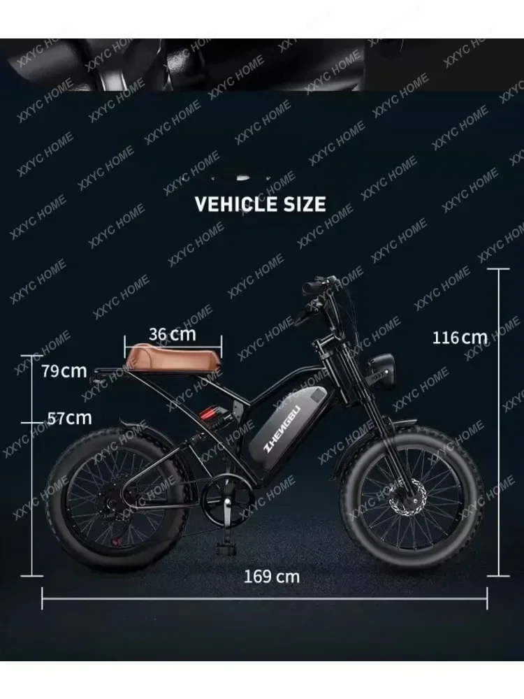 20-Inch Fat Tire Mountain Bike Variable Speed Scooter Retro off-Road Beach Motorcycle Power Electric Bicycle