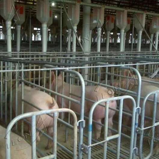 Steel animal cages positioning bar farm pig equipment sow gestation bed pen solutions wholesale pig stall