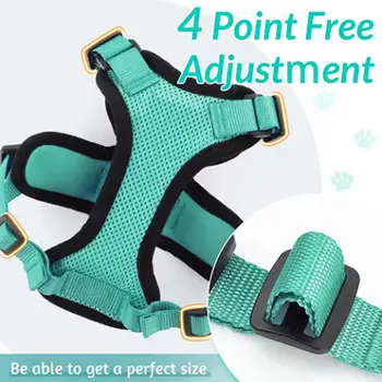 8 best sales Gürtel für Katze - №3