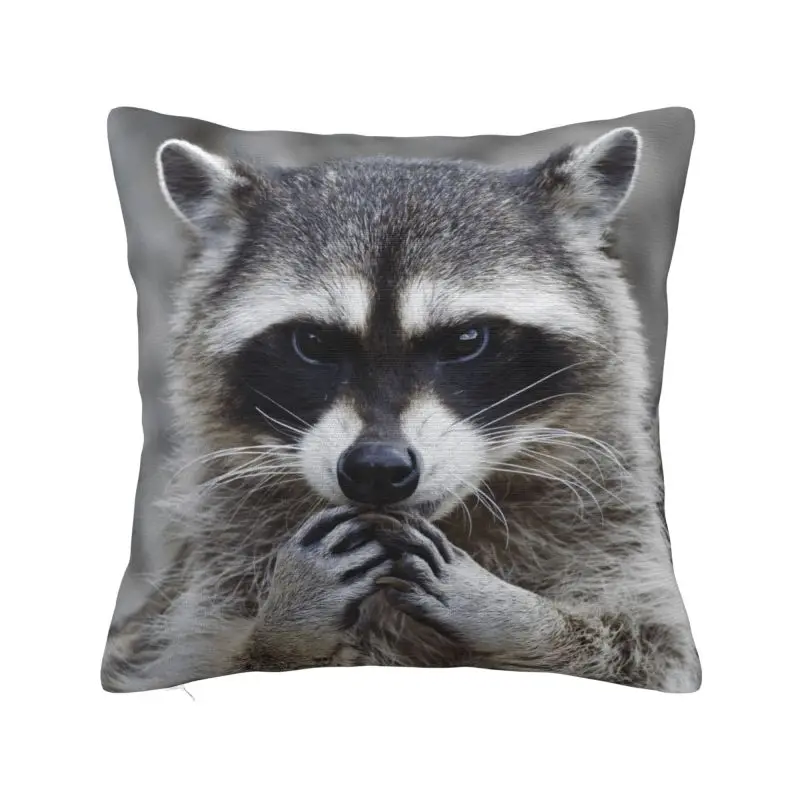 Modern Funny Raccoon Throw Pillow Case Decoration 3D Print Sofa Chair Cushion Cover Polyester Soft Pillowcase Dakimakura