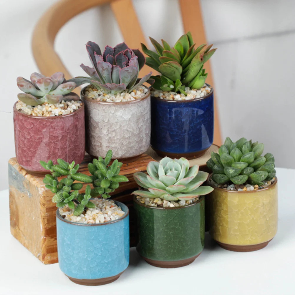 6pcs Ceramic Succulent Planter Pots Coloured Ceramic Flower Pot for Home Office Decor (Dark Blue, Red, White, Yellow, Green, Lig