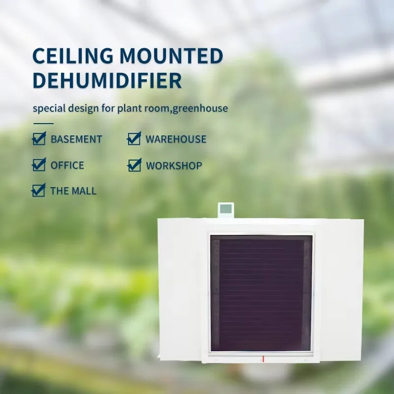 Large 480L Air Dehumidifier for Industrial Use Electric 380V New for Greenhouses Grow Rooms Farm Construction Pump Compressor view 4