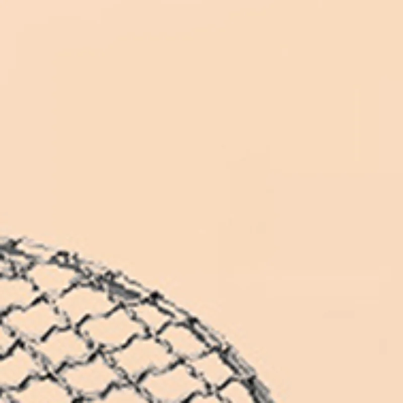Stainless Steel Circular Barbecue Net High Temperature Resistance Barbecue Net Outdoor Camping Grill Tea Boiling Accessories