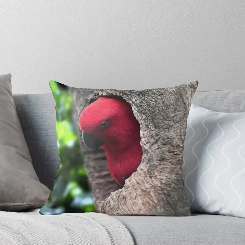 

Parrot Throw Pillow Couch Pillows Christmas s Covers Bed pillowcases Sitting Cushion pillow