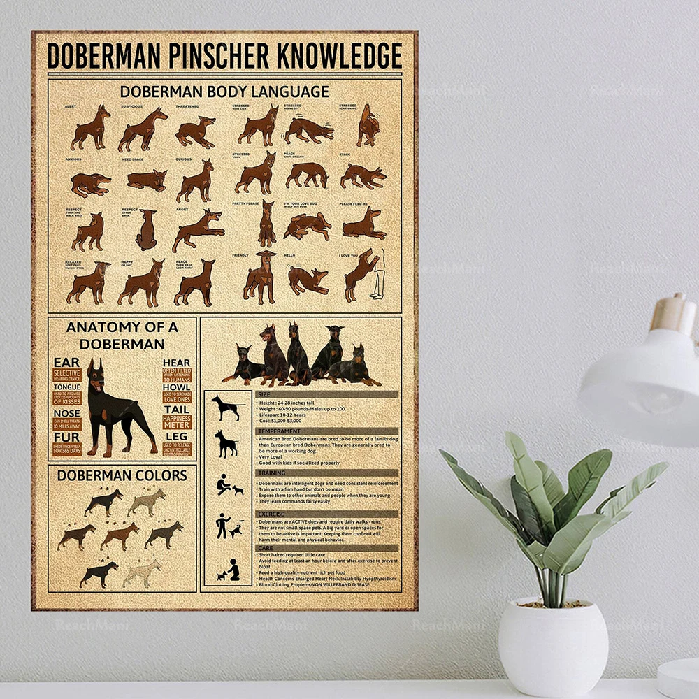 

corgi, doberman pinscher information poster, doberman pinscher, funny dog art, vintage corgi mom gift, gift for pet lovers