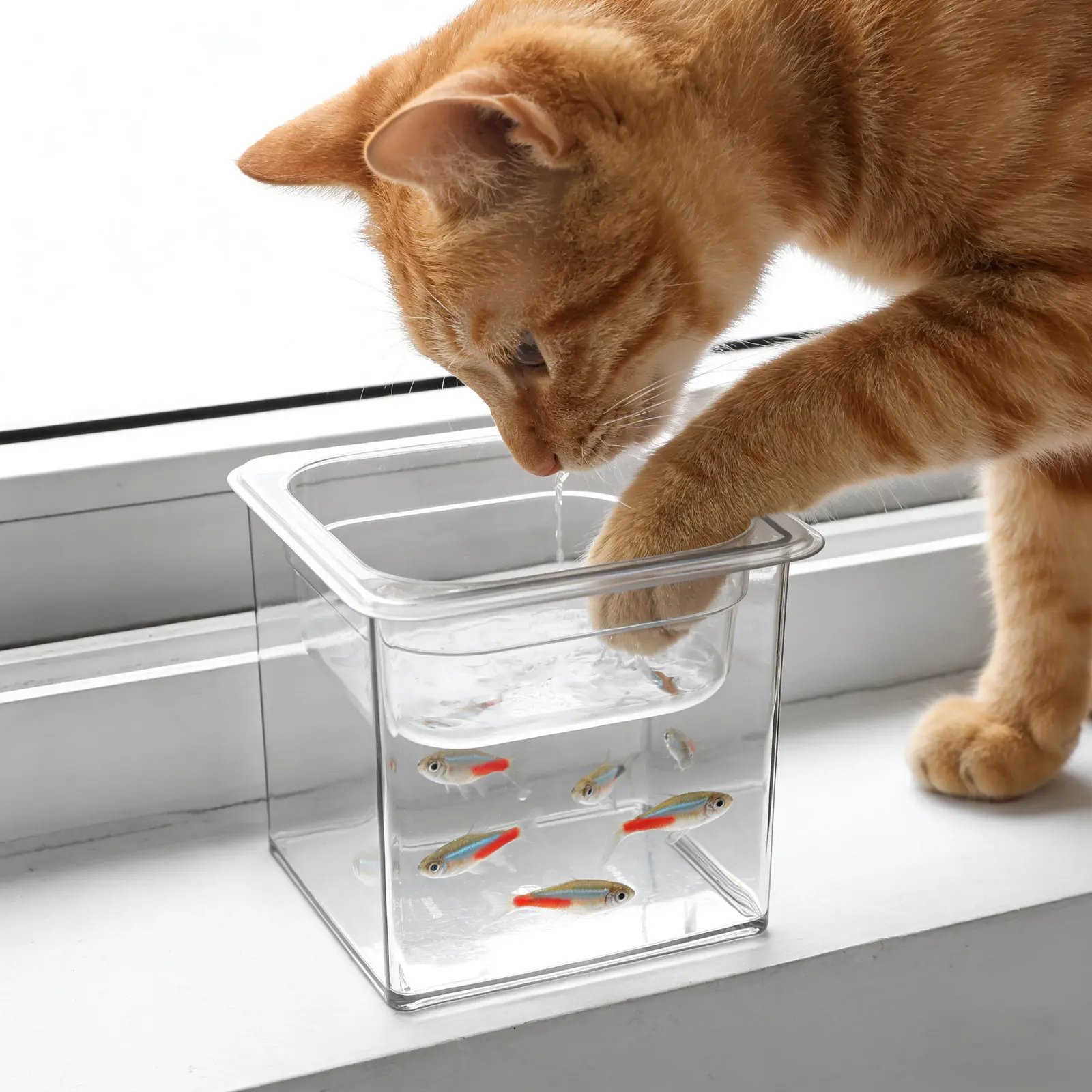 Plastic Fish Bowl Aquarium Cat Drinking Water Fountain Office Desk Desktop Betta Fish Tank Portable Pet Water Bowl Goldfish