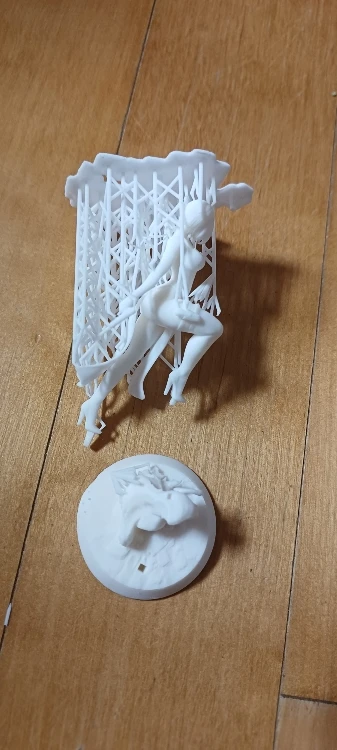 Buyer photo of this resin kit