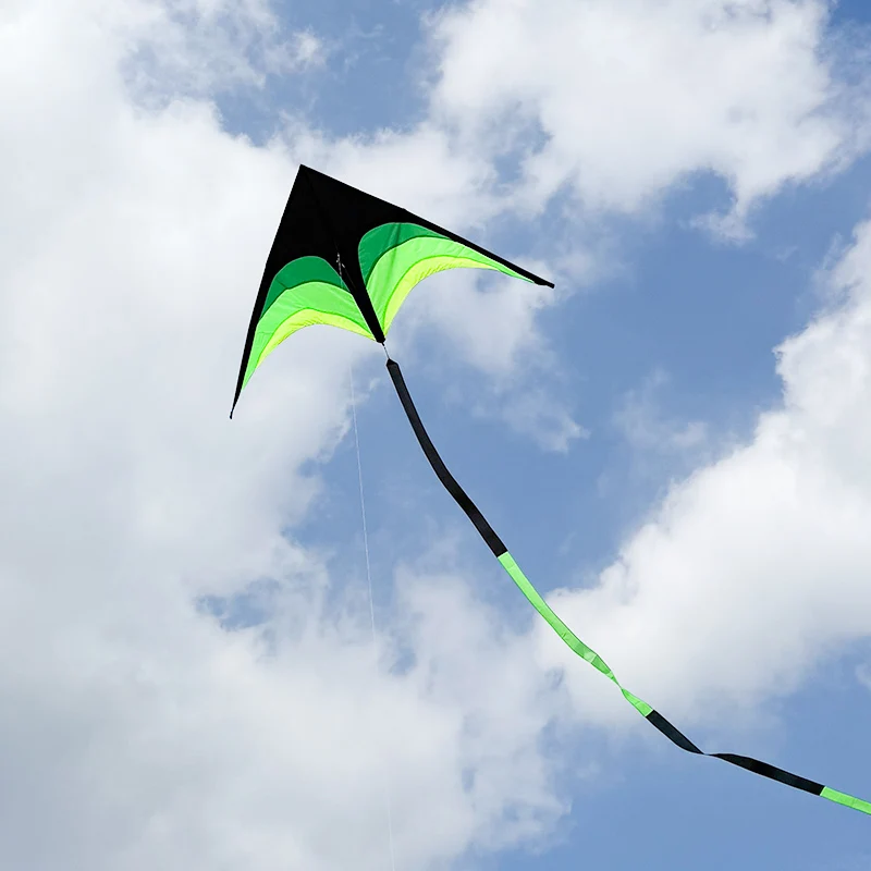 Paradise Bird Grote Delta-vlieger met 100 m lijn Buitenplezier Gemakkelijk te vliegen Buitenspeelgoed voor kinderen en volwassenen Verschillende specificaties