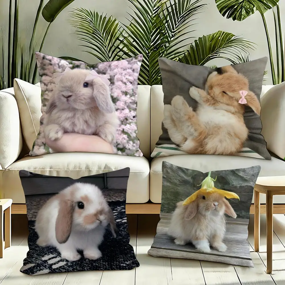 Netherland Dwarf Rabbit Cushion Cover Reversible Plush Pillow Cover Soft Fluffy  Home Decor for Sofa Bedroom