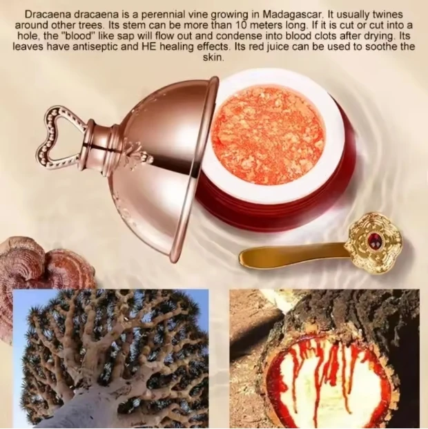 Crema viso al sangue di drago Retinolo Placenta Essenza Schiarente Lift Rassodante Cura della pelle Cosmetici coreani