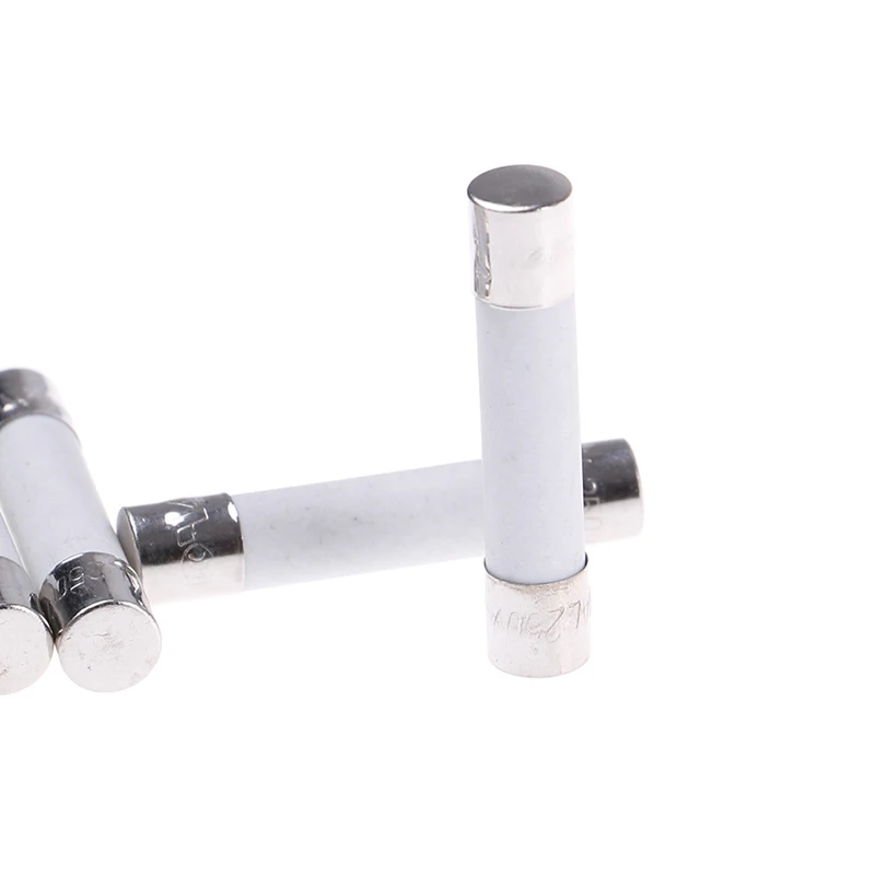 10 قطعة ميكروويف سيراميك فيوز كهربائي 20A 250 فولت لوازم منزلية لتقوم بها بنفسك 6x30 مللي متر #3