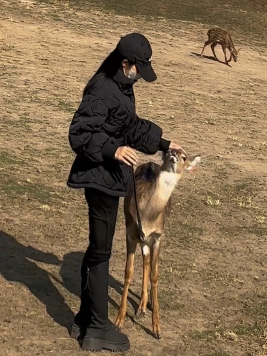 

Tweed Jacket Slim Fit Womens Winter Snow Plush Anti-Freezing Puffer Warm Thickened Zipper Hood Leisure Hiking Tourism Ski Gentle