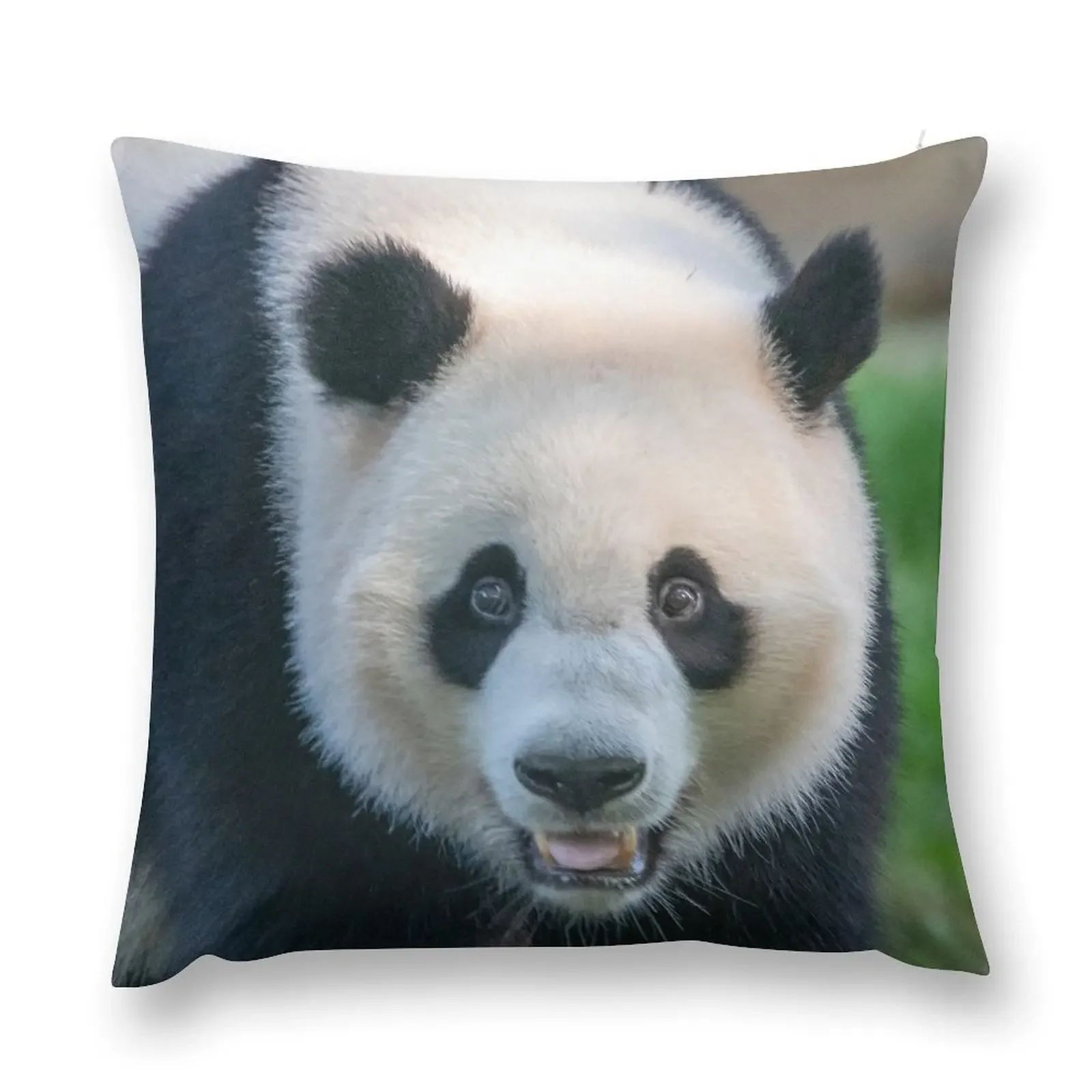 Giant Panda Xiao Qi Ji at the National Zoo Throw Pillow Decorative Pillow Covers For Sofa Cushions pillow