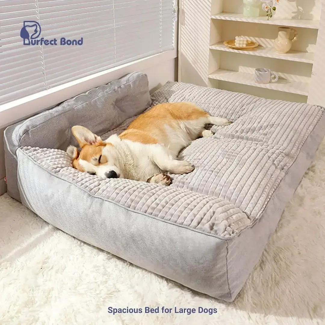 Comfortable Beds for Large Dogs - The Perfect Resting Spot for Your Furry Dog Bed Spacious Mat for Big Dogs Multiple Dogs Family