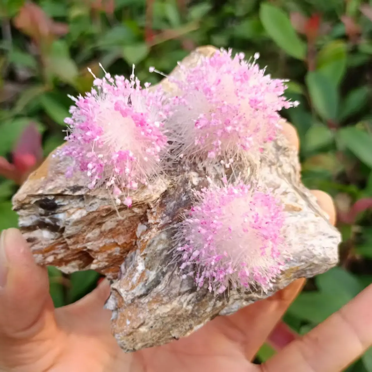 Natural Magnesite Symbiosis Pink Goethite, Quartz Crystal Ore Clusters, Mineral Reiki Healing