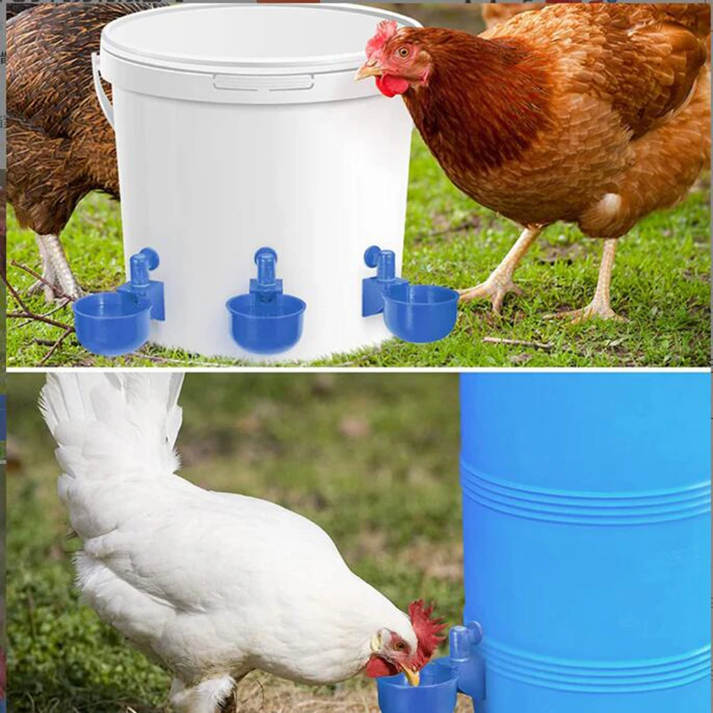 10pcs Automatic Chicken Water Cups Poultry Waterer Bowl Chicken Coop hens Feeder Drinker for chicken Duck Goose