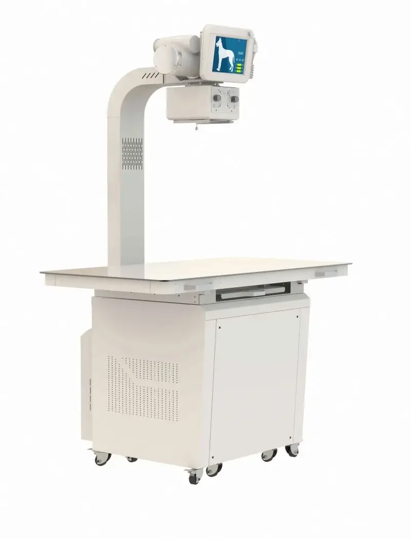 Animal Portable Computed Medical Xray Equipments High Frequency Veterinary Dog DR Detector X Ray Machine Digital Vet X-ray