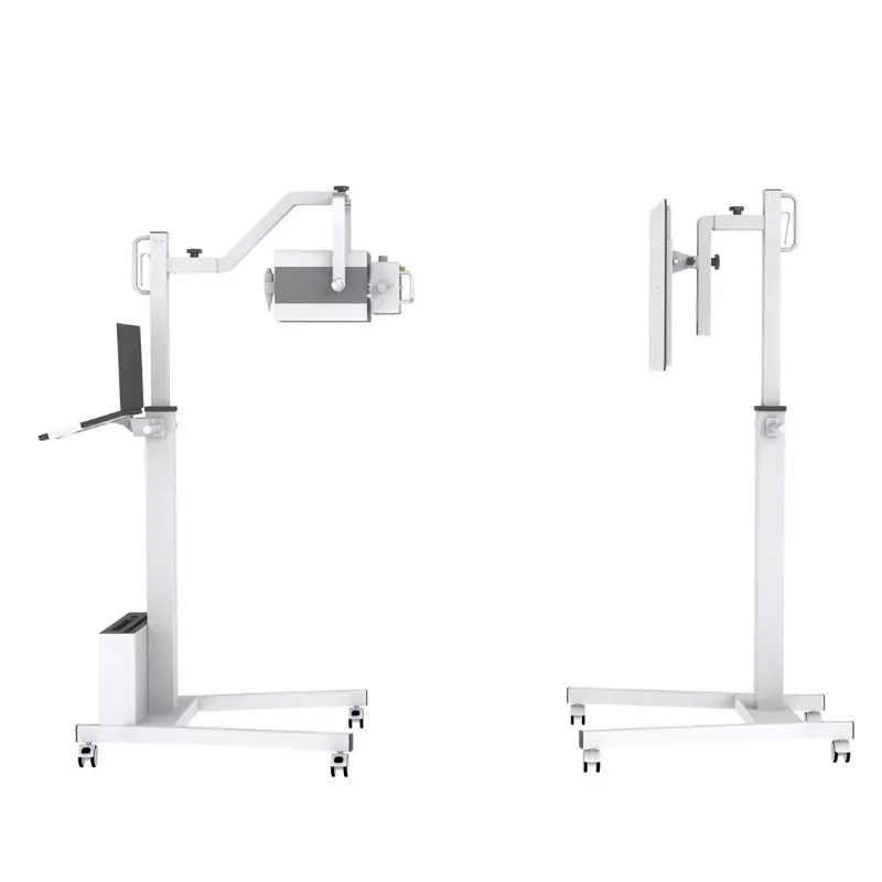 Digital Radiography System with X Ray Flat Panel Portable Veterinary X Ray Machine Price for Pet Diagnosis