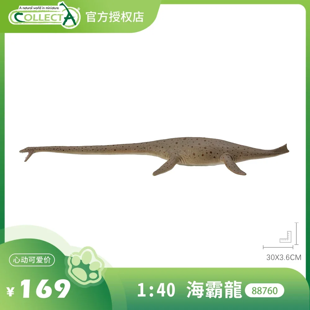 

In Stock Britain CollectA Thalassomedon Temnodontosaurus Pliosaurus Tylosaurus Liopleurodon Model Toys Prehistoric biological