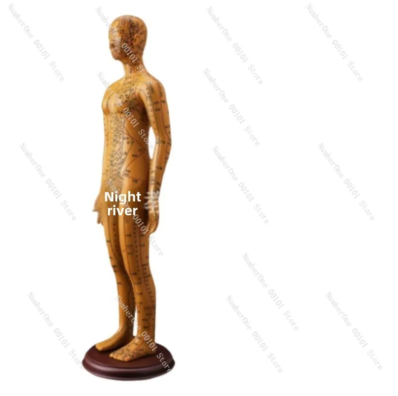 

Модель для акупунктуры по ТКМ | Модель акупунктурных точек из двенадцати бронзовых фигурок людей