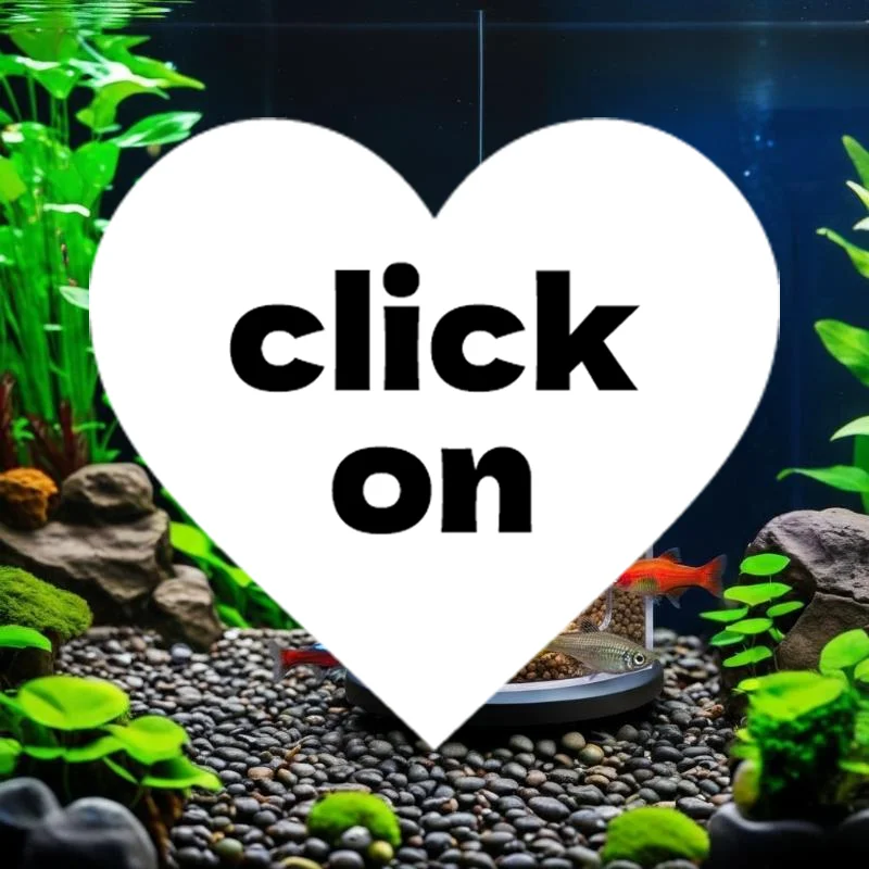 1 Stück Schwimmender Futterring für Aquarien, Fischfütterungsstation, Kreisförmiges Aquarium-Zubehör mit Saugnapf