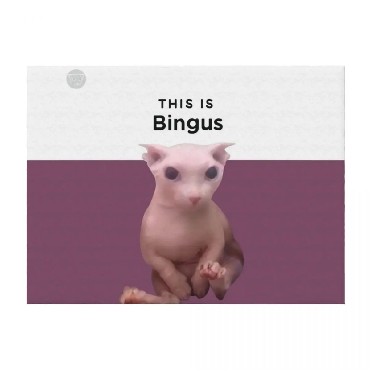 

This is Bingus HD Throw Blanket for winter Flannel Winter beds Sofas Blankets