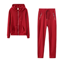 Autumn and Winter European and American Fashionable Sports and Leisure Solid Color Suits Personalized Zipper Pocket Two-piece Se - Image 6