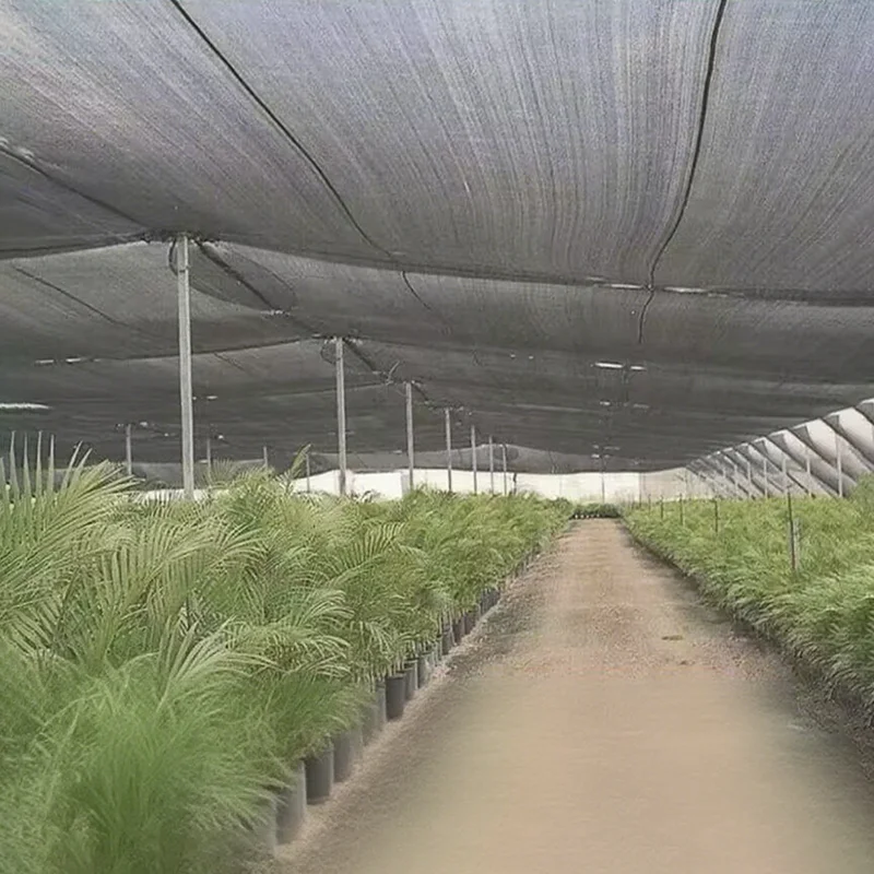 3/6/12 Pin Black HDPE Anti-UV Sun Shade  Gazebo Shelter Outdoor Pergola Canopy Sun Cover Agriculture Greenhouse Sunshade Net﻿﻿﻿﻿