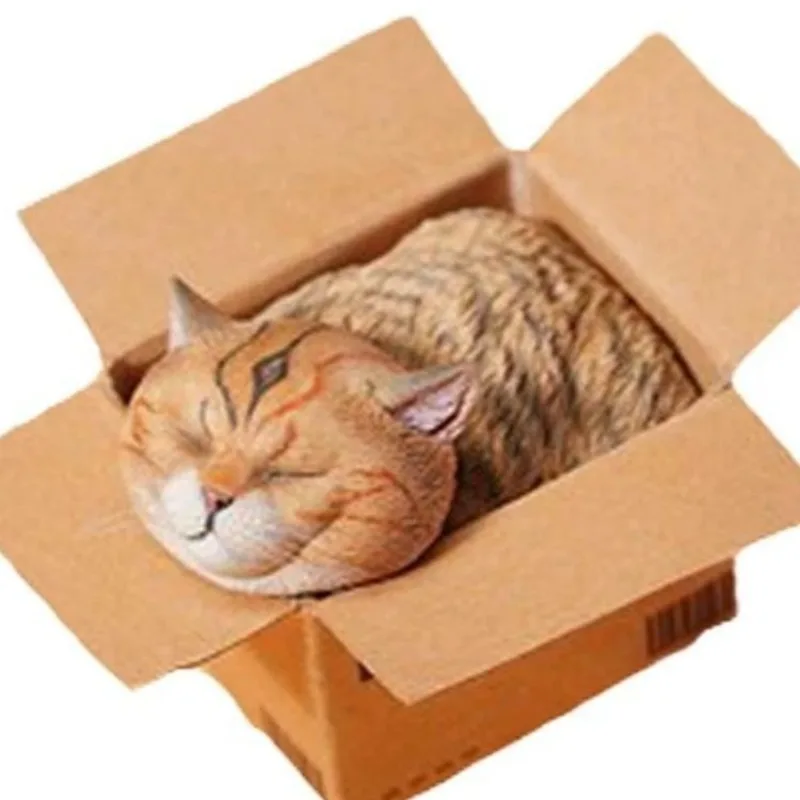 

Express cat, cute healing cute pet mini model ornament surrounding tide play figure