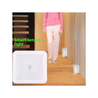 Intelligent Light Control Human Body Induction Led Night Light, Desk Bedside Light Spot Warm White