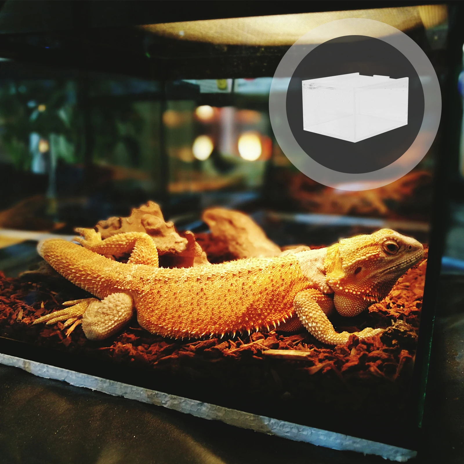 

Leak Proof Reptile Box Transparent Pet Cage Container for Turtles Spiders Snakes Climbing Feeding for Reptiles