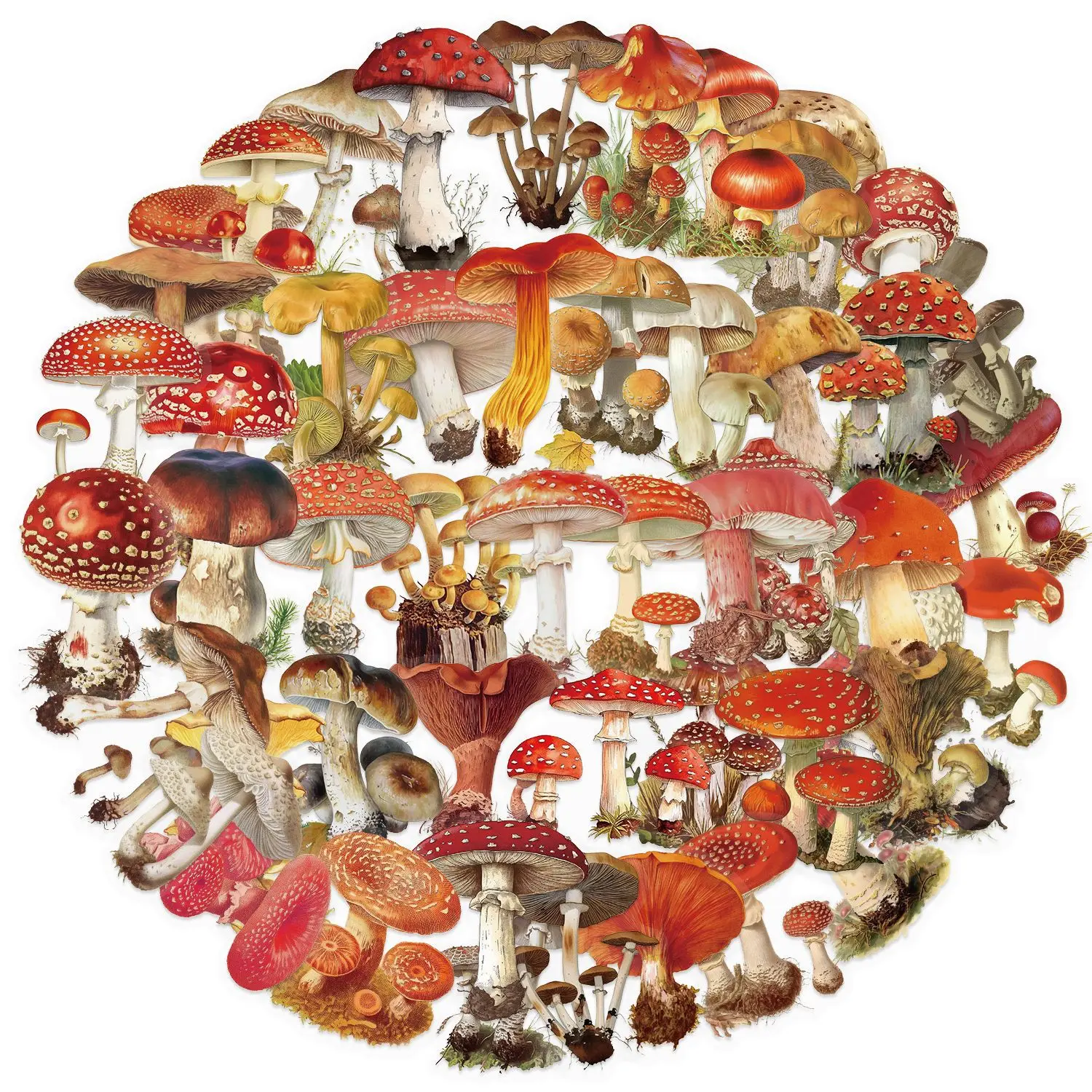 

50PCS Transparent Cartoon Retro Mushroom Sticker Creative Decoration Water Cup Stationery Box Waterproof Decal Toy Gift