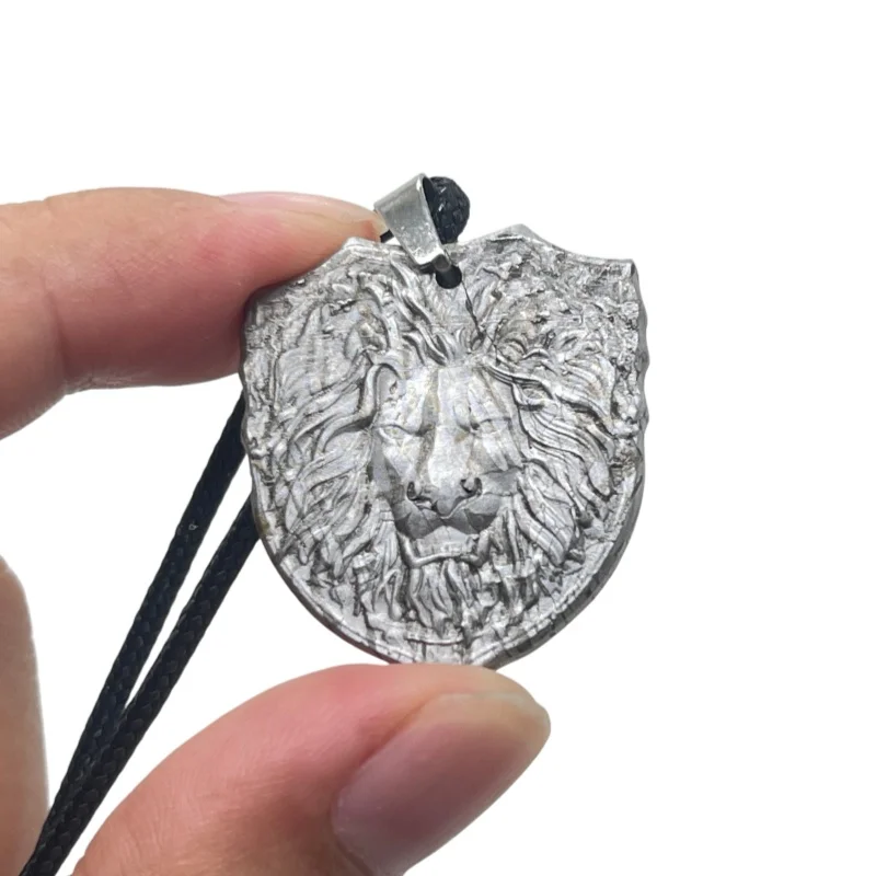 Muonionalusta Iron Meteorite Pendant Hand Carved Lion Head Shield Pattern Necklace Collectible Mineral Jewelry - LK319