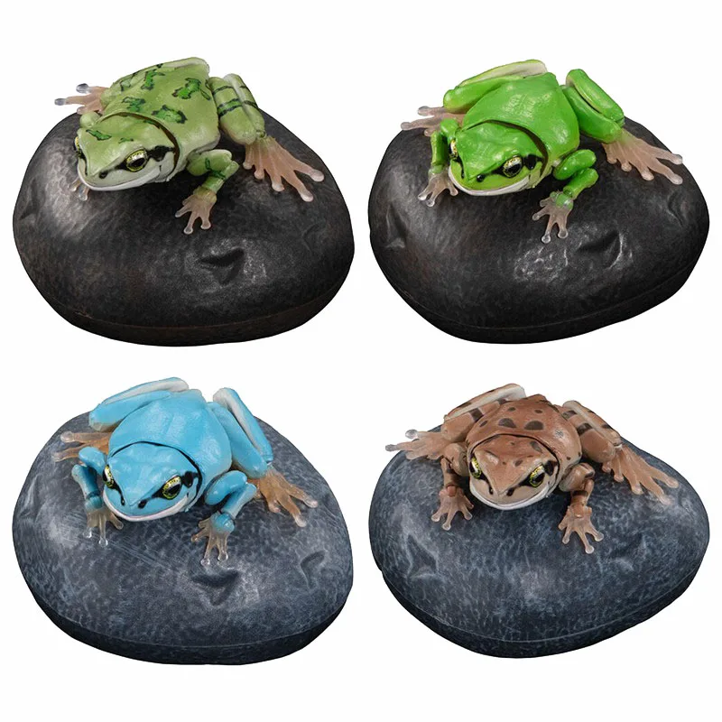 

Japanese Genuine Gacha Scale Model Biological Cognitive Model Movable Tree Frog Model on A Stone Action Figure Toys