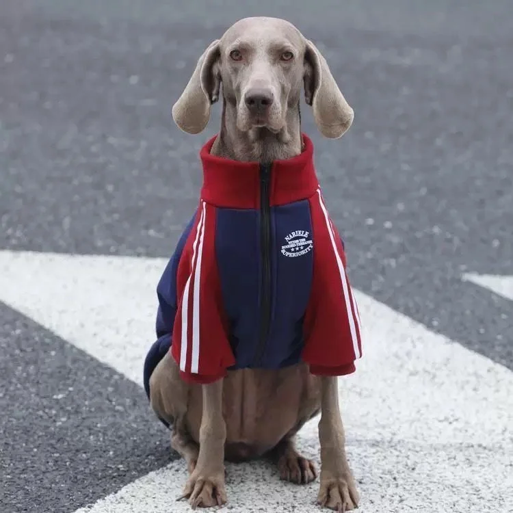 Large-sized dog pet clothing - New arrivals for autumn and winter - Warm and thick fleece coat - Trendy fashion accessory
