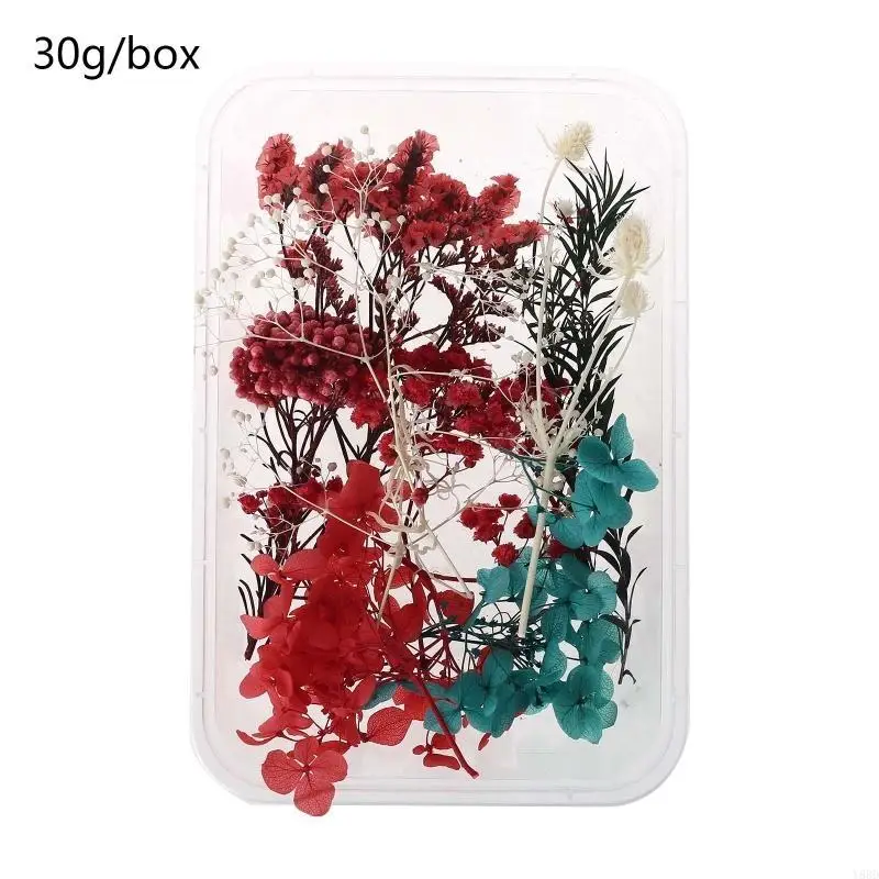 Y88D 1 Caja Real Mix Flores secas para aromaterapia Joyas resina vela Plantas secas Flores prensado Flower Diy Accesor