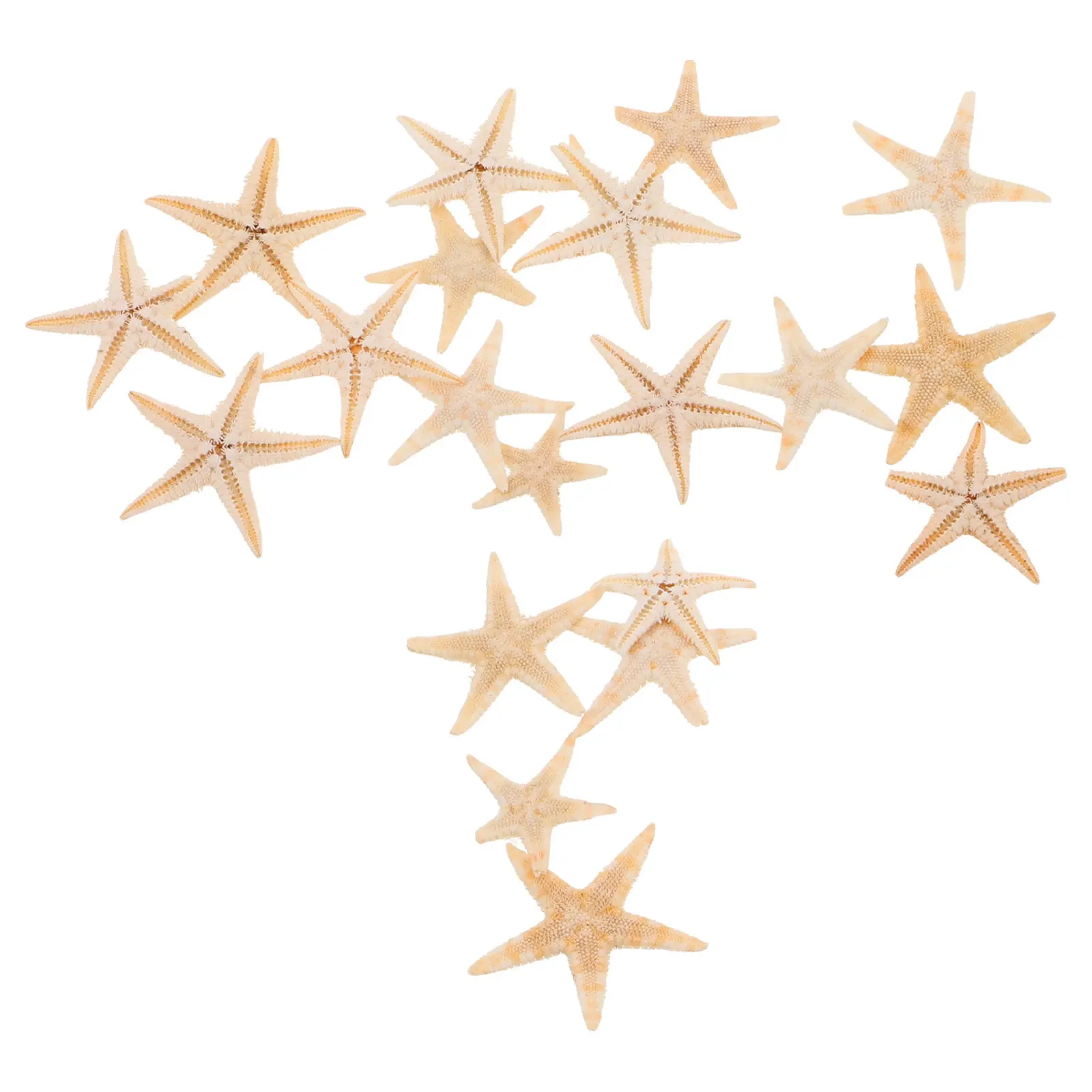 

20Pcs Natural Mini Sea Star Ornaments for Making DIY Epoxy Resin Crafts Beach Theme Wedding Decor Ocean Decor Sea Star