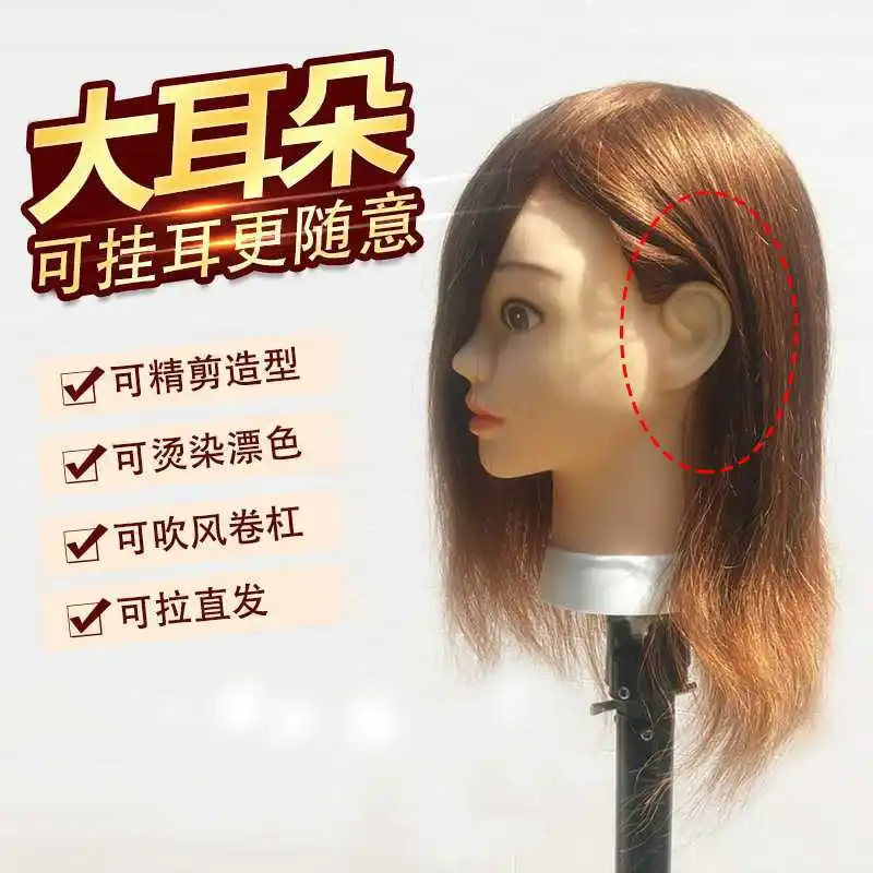 100% Real Hair Apprentice Barber Training Head Model Big Ears Head Hairdresser Hairdressing Doll Head Modeling Practice