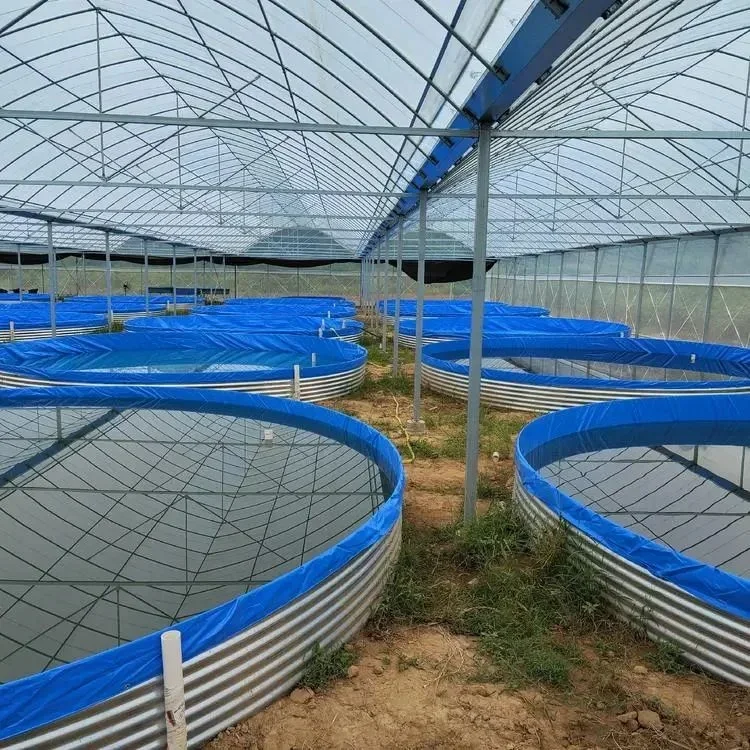 

High Income Aquaculture Tank Large Plastic Fish Ponds Low Cost Tilapia Fish Farming Tanks