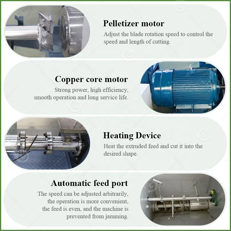 Pellet Extruder Pet Dog Fish Feed Full 500kg/H Production Line Wet Treat Rabbit Shrimp Food Make Machine view 3