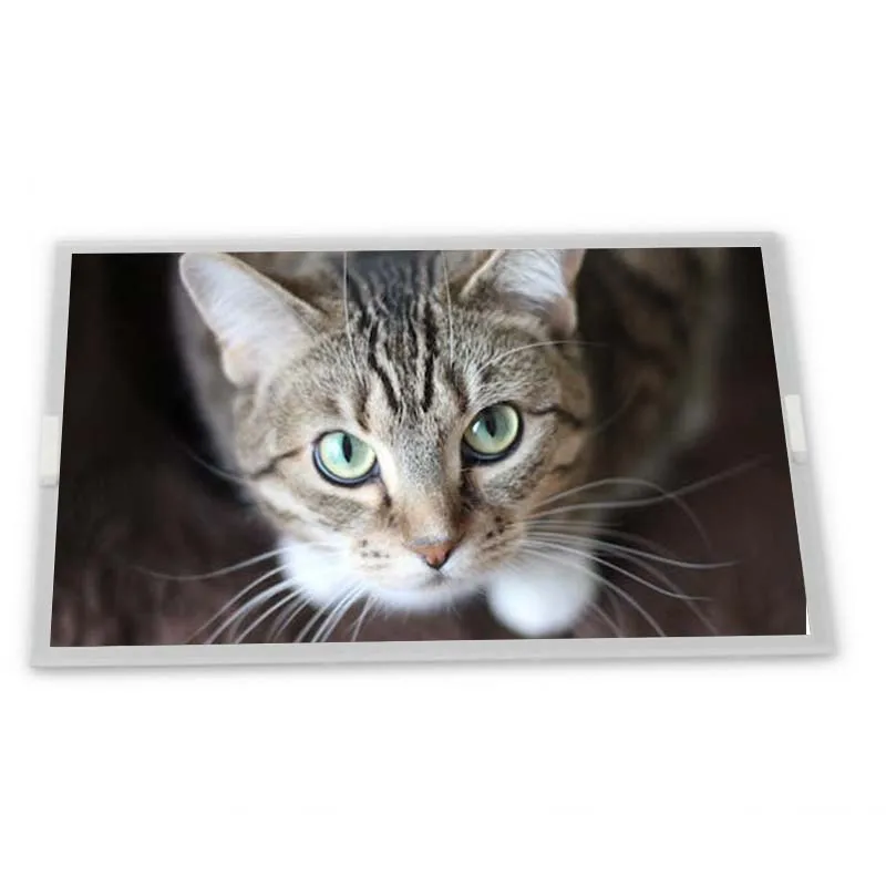 New compatible 240*128 LCD Display Module PG240128A PG240128A-PC Zhiyan supply