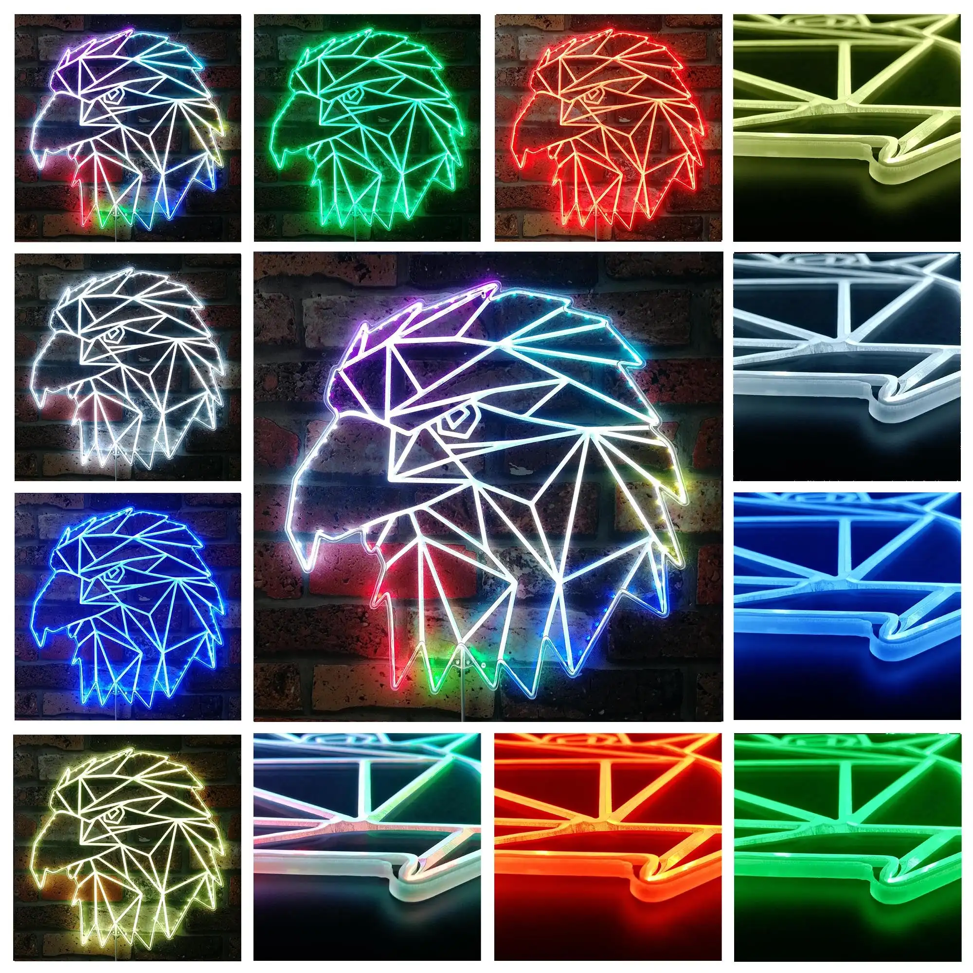 Eagle Hawk Geometric RGB Dynamic Glam LED Sign st06-fnd-i0288
